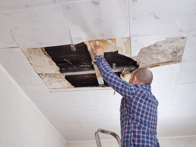 Ceiling Hole Repair